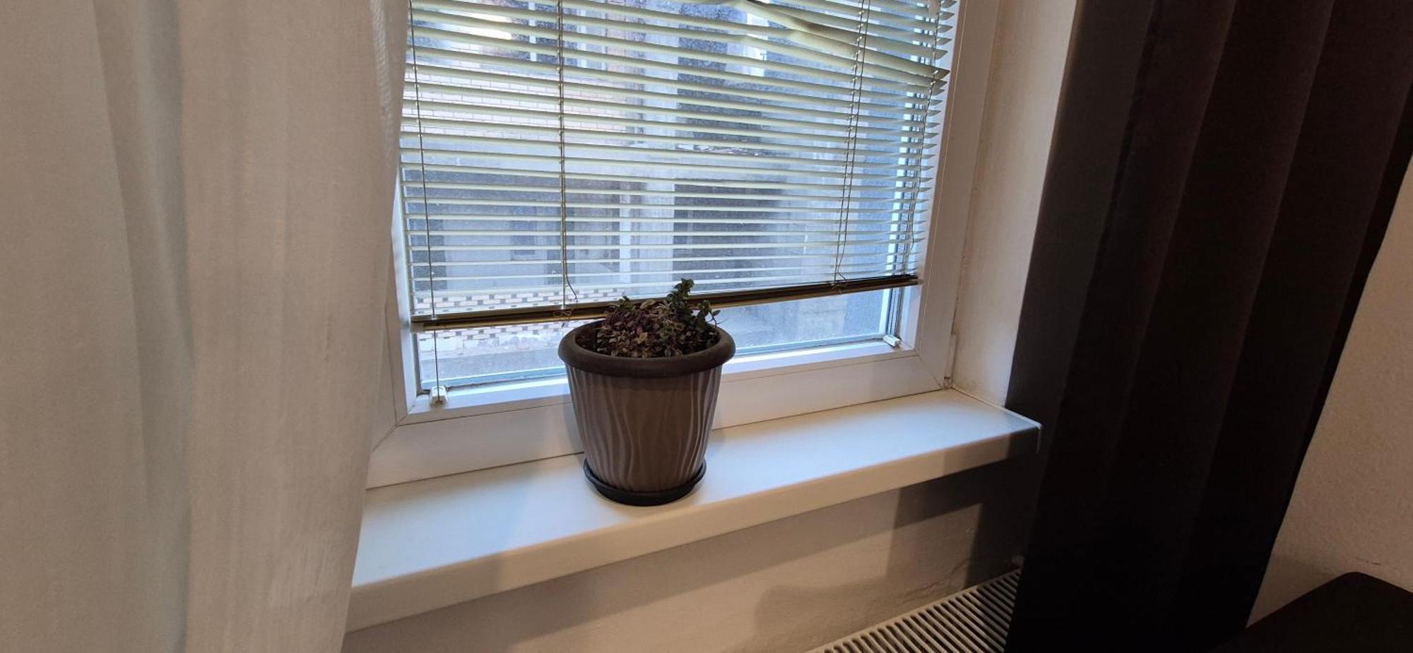 ביטולה Avokado Apartment 14 מראה חיצוני תמונה